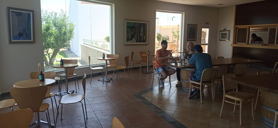 Kos: Wineries Tour w/ Wine Tastings & Transportation - Who will enjoy this three-hour outing?