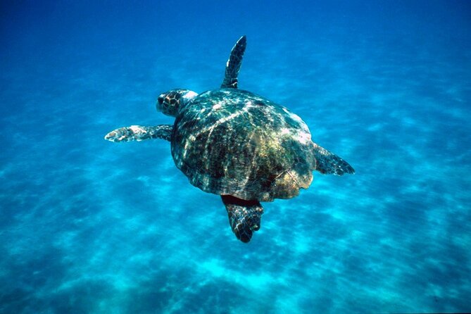 Laganas Zakynthos: Marathonissi, Keri Caves and Turtles Spotting - Sailing past Cape Marathias and Marathias Beach