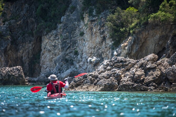 Lefkada Kayak : Explore Blue Cave with a Taste of Greece - Snorkeling among Ionian Sea life