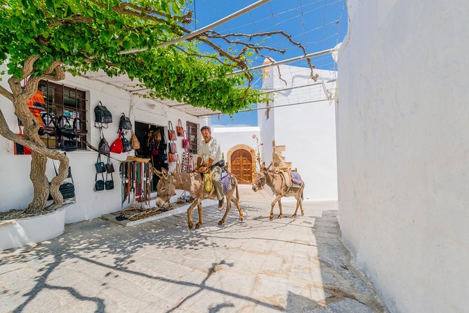 Lindos by Express MiniBus (Small Group) - Is $48.39 a fair price for this Lindos trip?