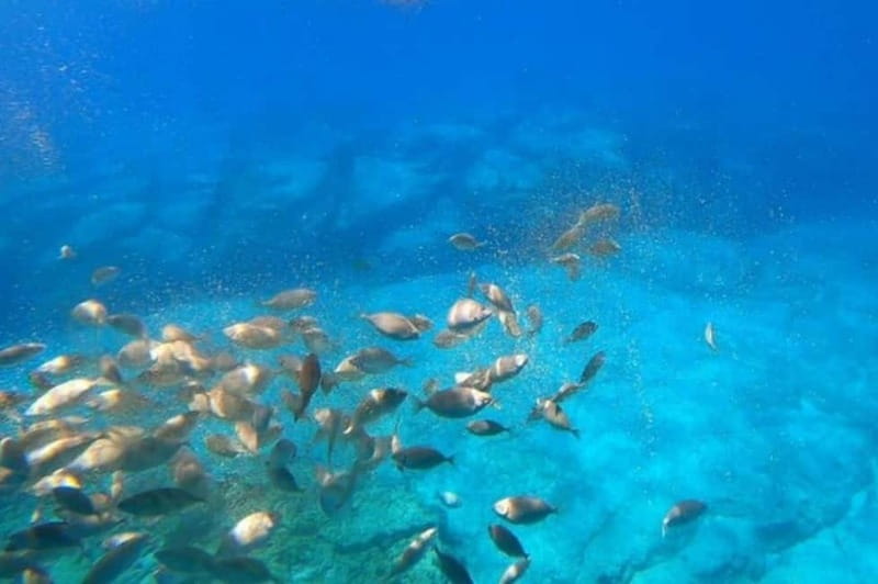 Lindos: Submarine Cruise with Swimming Stop at Navarone Bay - St. Paul’s Bay and the Acropolis by boat