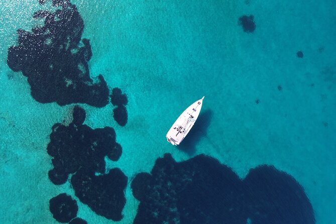 Luxury Catamaran Morning Semi-Private & Greek Gastronomy Athens - Greek food served throughout the morning
