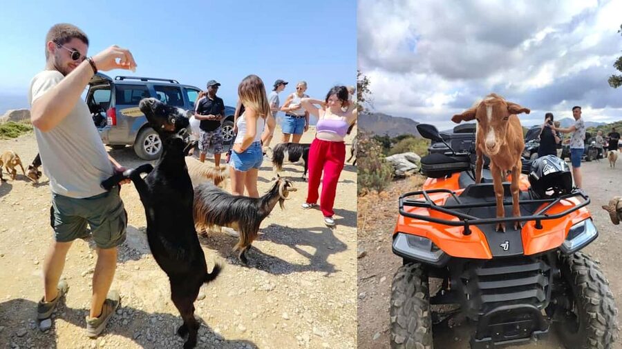 Malia: Off-Road Quad Safari Tour with Lunch and Transfers - What this six-hour Crete adventure is really about