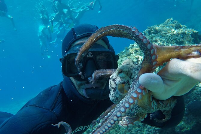 Milos: Half-Day Speedboat Cruise to Kleftiko with snorkeling tour - The crew and onboard atmosphere