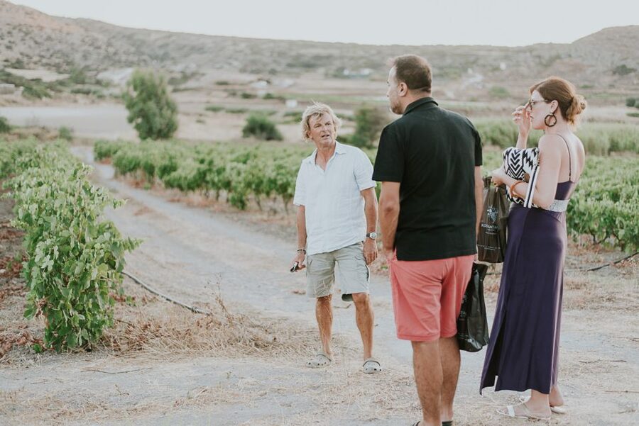 Milos Island: Kostantakis Winery Wine Tasting Experience - Book or pass?