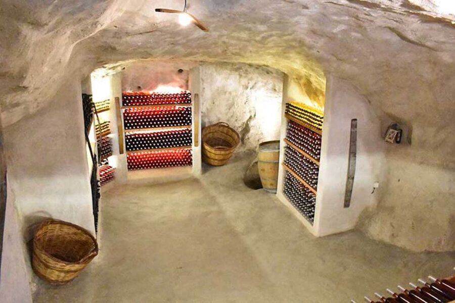 Milos Island: Kostantakis Winery Wine Tasting Experience - The 40-minute tour: vineyard, equipment, and island conditions