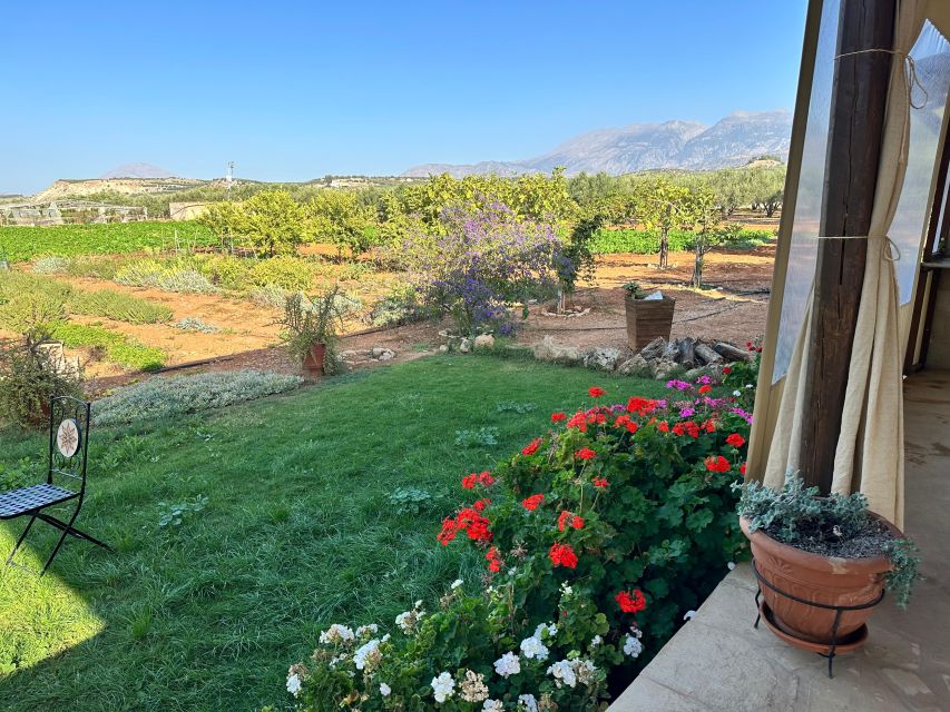 Moires: Cooking Class and Olive Oil Tasting at a Family Farm - Sitting down to eat what you made