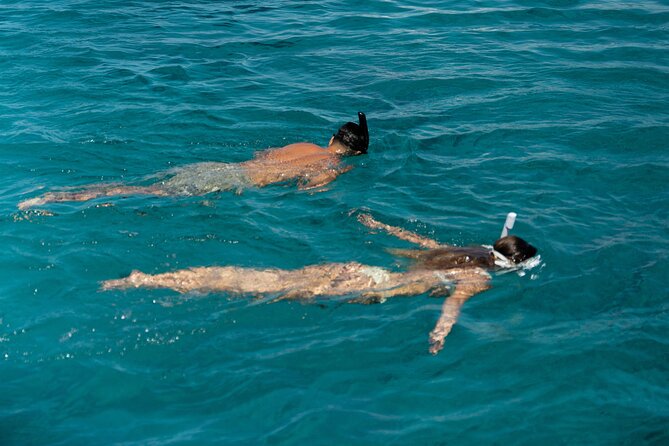 Mykonos: Brand-New Catamaran Cruise with Meal, Drinks & Transport - Who should book this Mykonos cruise