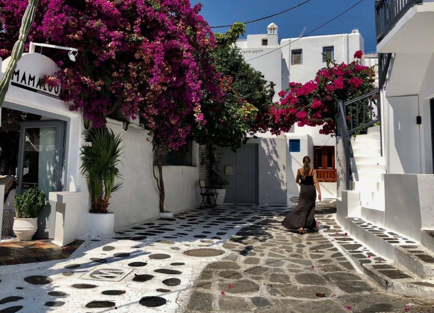 Mykonos: Full-Day Sightseeing Tour with Lunch - Who should book this Mykonos day tour?
