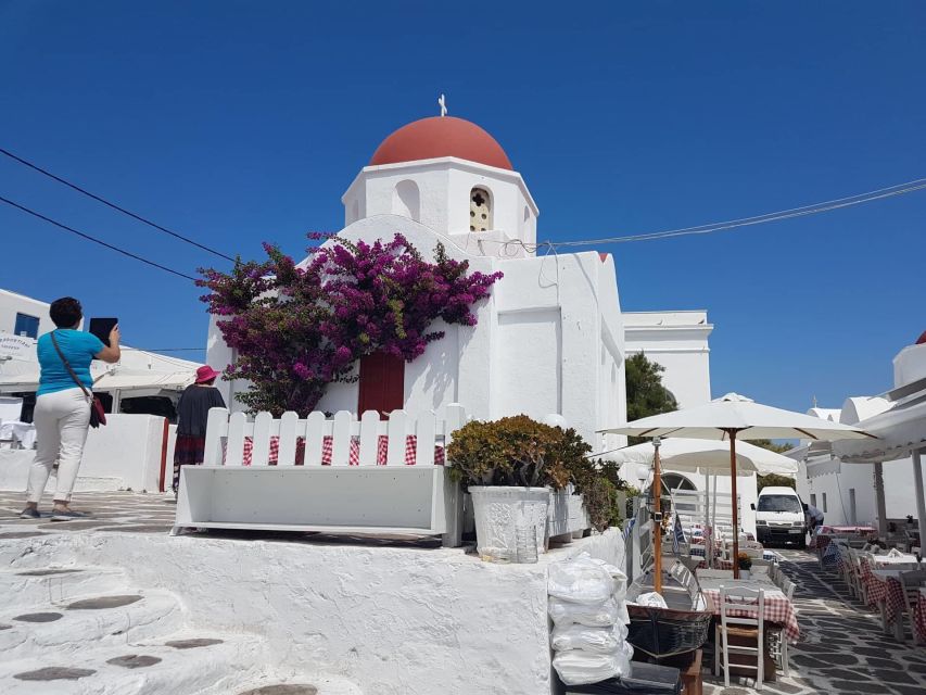 Mykonos: Full-Day Sightseeing Tour with Lunch - Kalo Livadi and Kalafati beaches