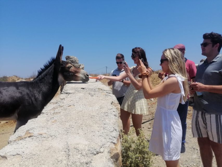 Mykonos: Highlights Tour with Panagia Tourliani Monastery - Why this tour works for a first look at Mykonos