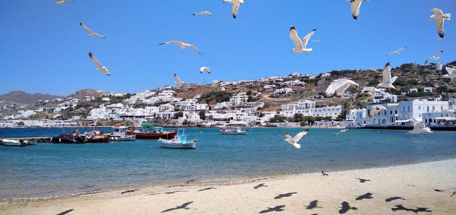 Mykonos: Highlights Tour with Panagia Tourliani Monastery - The final panoramic view of Mykonos Town