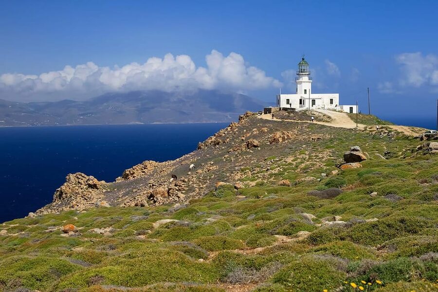 Mykonos: Private Tour Island With A Local - The guide can shape the whole experience