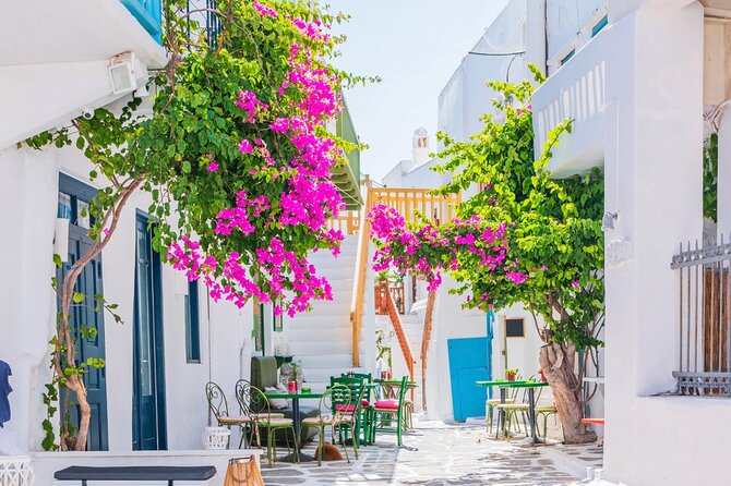 Mykonos Small Group Tour for Cruise Passengers — Port Pickup - Elia Beach: more sand and a slower mood