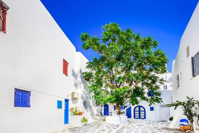 Mykonos Town and Island Half-Day Tour - Kalafatis Beach and the short coast stop