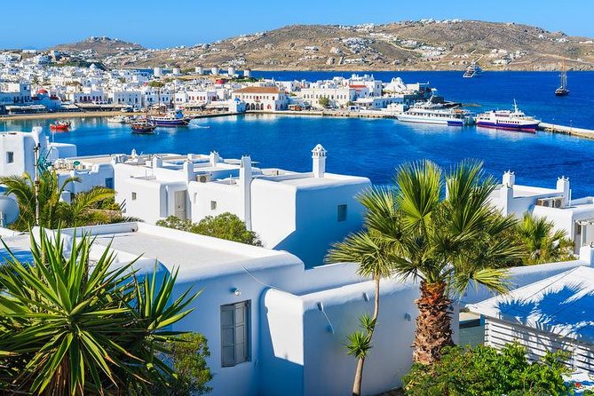 Mykonos Town and Island Half-Day Tour - Agios Ioannis and the island views