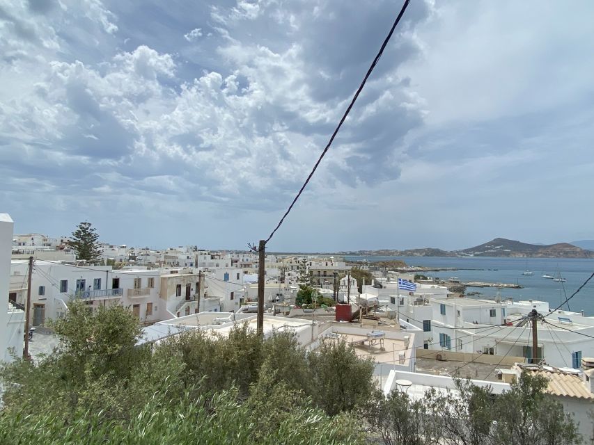Naxos: Food Walking Tour & Cooking Class with Meal & Drinks - Key points at a glance