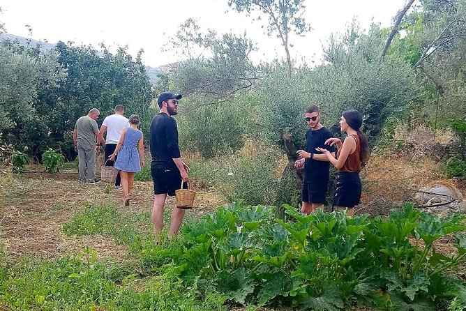 Naxos:Half-day cooking class at Basiliko - What you actually do in the kitchen