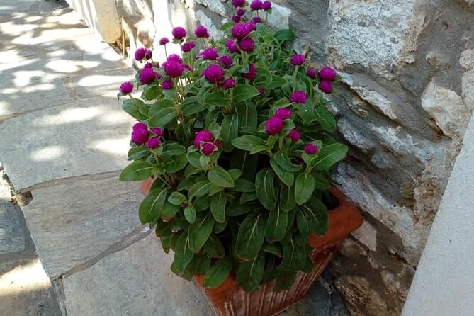 Naxos: Highlights of Naxos Day Tour - Apollon and Apollonas: the northern coast