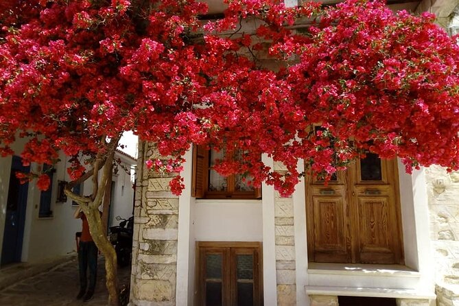 Naxos: Highlights of Naxos Day Tour - The guides add much of the value