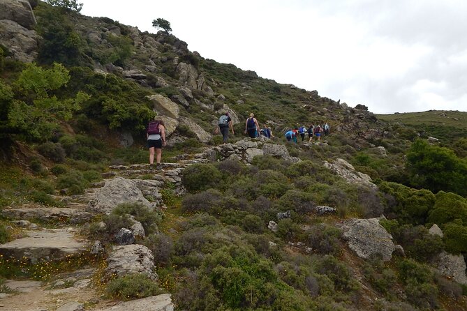 Naxos: Hike to the Top of the Cyclades - Mount Zas - Why Mount Zas is worth your morning