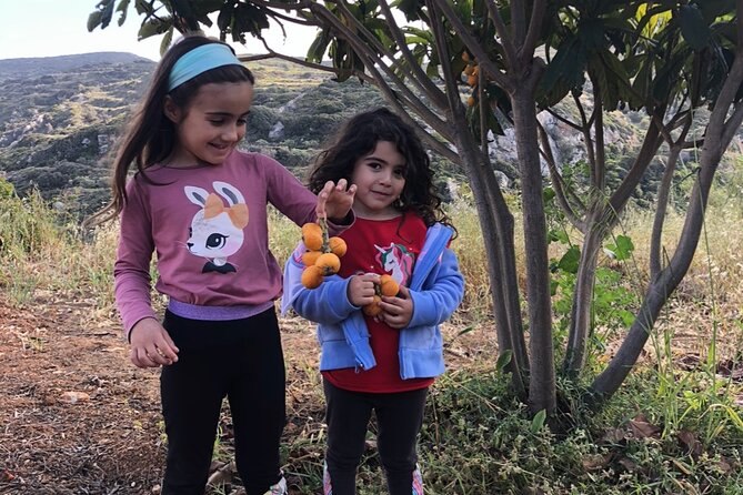 Naxos Perivoli Farm Experience & Wood-fire Cooking Class - The walking conditions matter