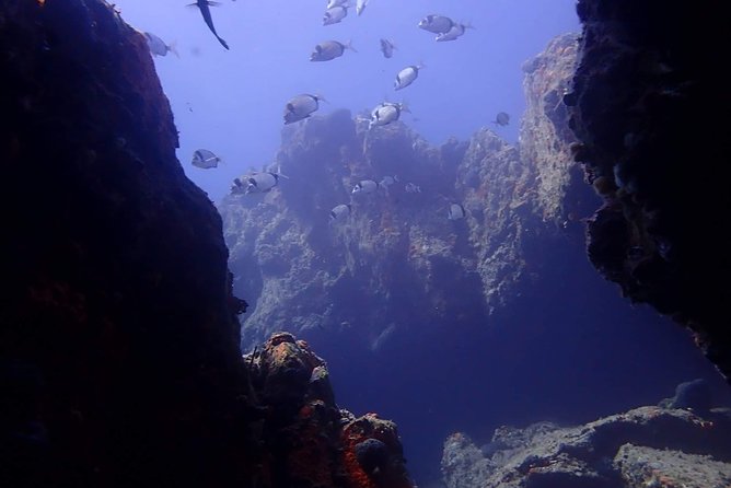 Nima Diving Center, Naxos, Greece - A gentle first look beneath the Aegean