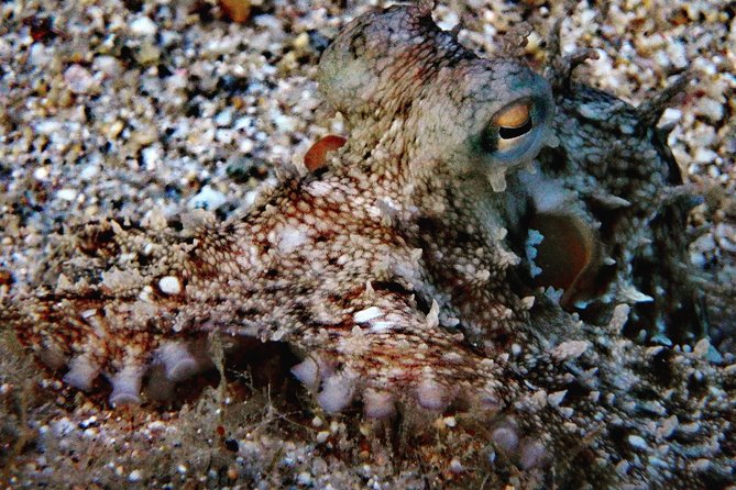 Nima Diving Center, Naxos, Greece - What happens before you enter the water