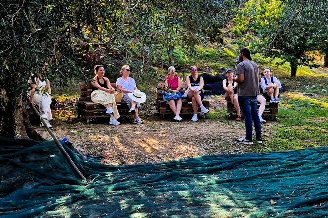 North Corfu Olive Tour With Olive oil Tasting & Meze - Why Loutses makes a better olive-oil setting