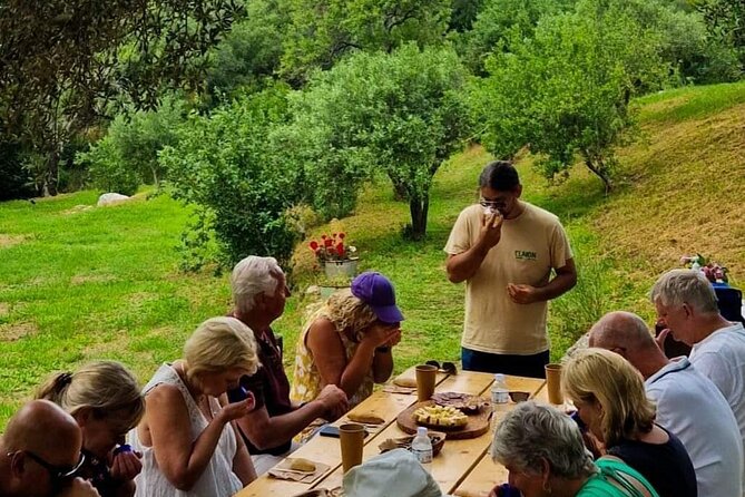 North Corfu Olive Tour With Olive oil Tasting & Meze - The timing and route in plain English