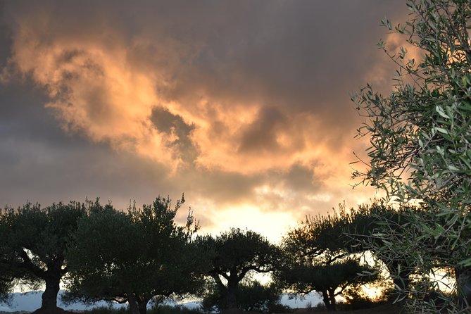 Olive Oil Tasting Tour - The flavored oils and Cretan sweet finish