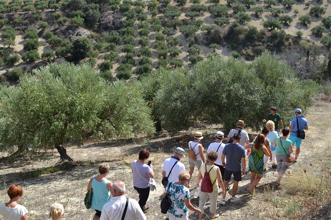 Olive Oil Tasting Tour - Planning your visit to Koronekes Olive Mill