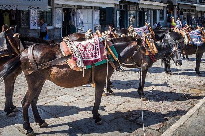 One Day Cruise to Hydra, Poros and Aegina from Athens - Leaving Piraeus for a full day at sea