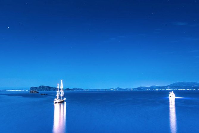 One Day Cruise to Hydra, Poros and Aegina from Athens - Poros: pine trees and a brief pause