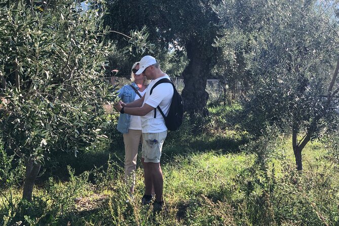 Organic Olive Grove tour & Olive oil tasting & lunch in Kalamata! - Who will enjoy this most