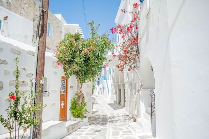 Paros & Antiparos Full-Day Discovery Guided Tour in English - What the $75.69 price really covers
