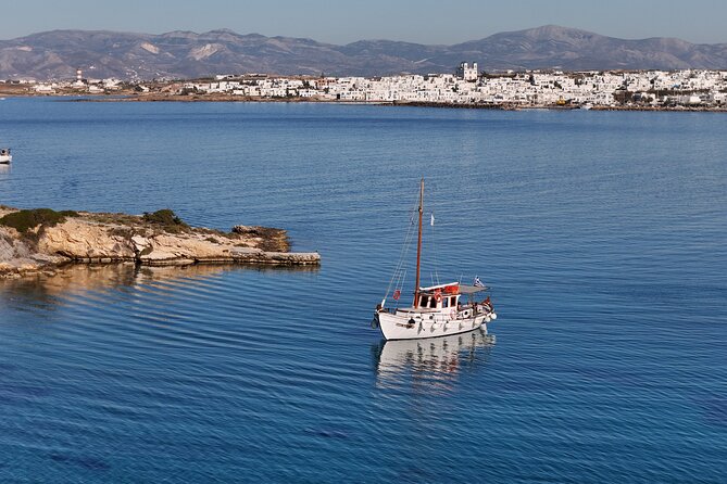 Paros Half Day Boat Tour from Naoussa port and Bay . - Fruit, cheese, wine, and a light lunch