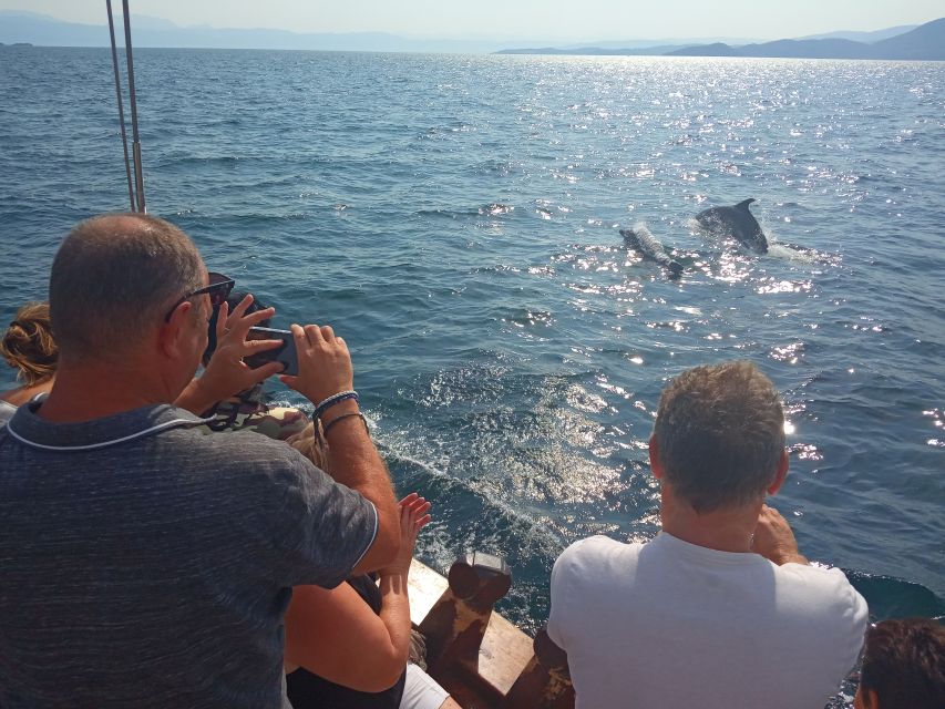 Preveza: Dolphin Watching Cruise with Lunch and Drinks - A quiet bay, cool water, and time to relax