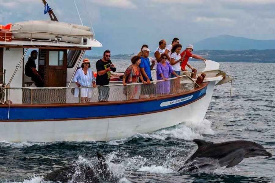 Preveza: Dolphin Watching Cruise with Lunch and Drinks - Who will enjoy this Preveza cruise most