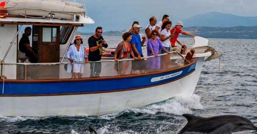 Preveza: Dolphin Watching Cruise with Lunch and Drinks - Practical tips for a better day