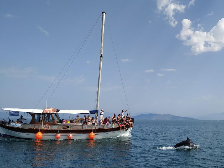 Preveza: Dolphin Watching Cruise with Lunch and Drinks - Watching dolphins near the fish farms