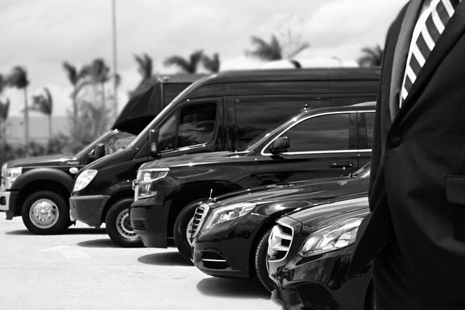 Private Arrival Transfer From Santorini Port To All Destinations - Booking details that prevent trouble