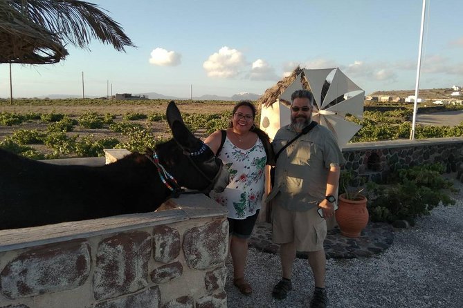 Private Cultural Villages Sightseeing & Akrotiri Excavations - Who should book this Santorini outing?