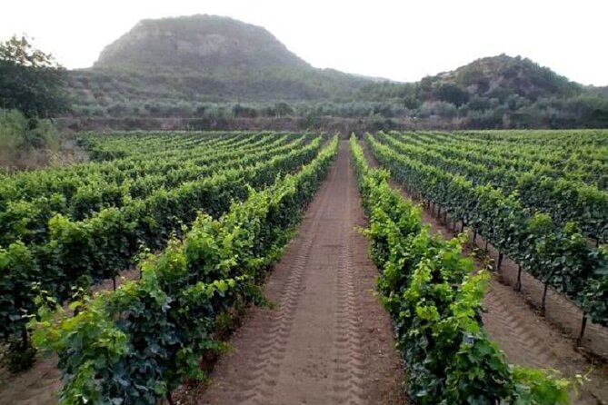 Private Excursion to Ancient Olympia - bee farm & winery - What the $144.18 price really covers