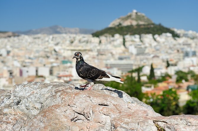 Private Luxury Biblical Tour: Apostle Paul in Athens & Corinth - The Ancient Agora, where Athens frames Paul’s mission