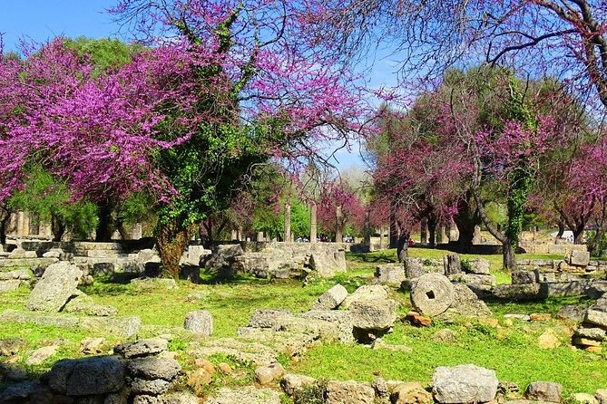 Private Olympia tour (4.5 hours) - What your guide adds to the experience
