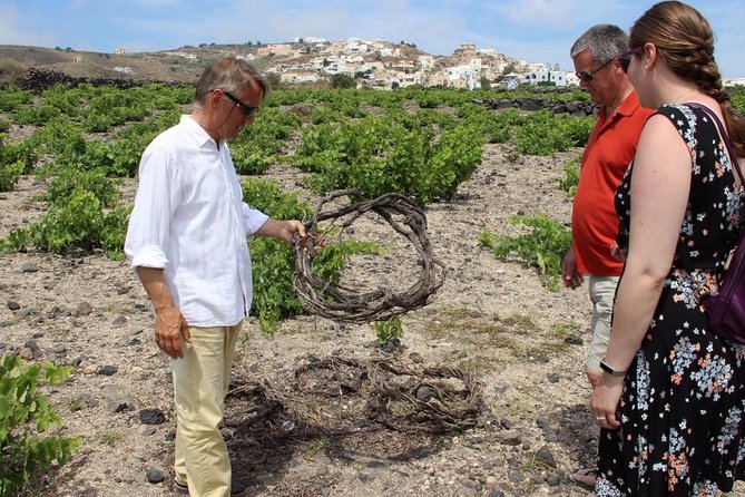 Private Santorini Sunset Wine Tour with Tastings and Tapas - Why Santorini wine tastes different