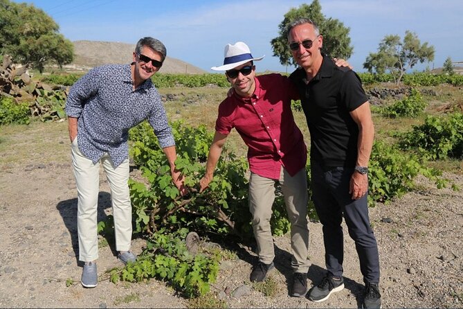 Private Santorini Sunset Wine Tour with Tastings and Tapas - What the $482.72 price really buys