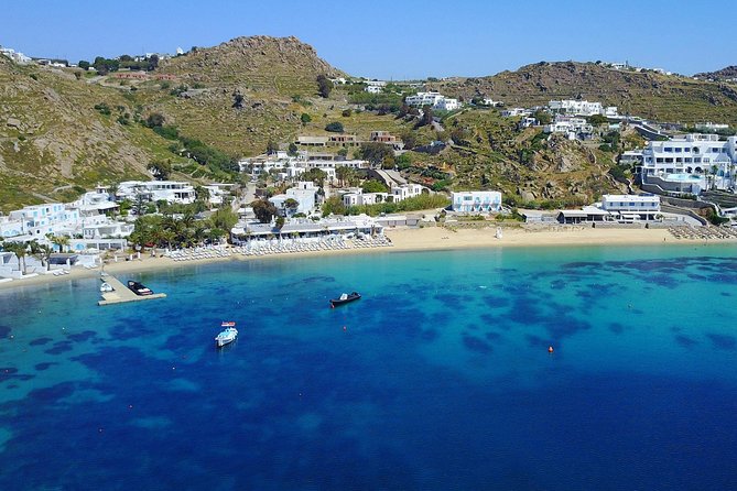 Private Speedboat Cruise from Delos to Rhenia and Mykonos - The Captain, Service, and Onboard Supplies