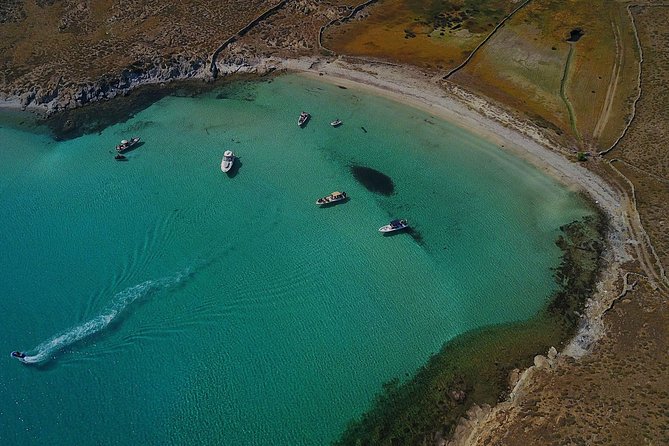 Private Speedboat Cruise from Delos to Rhenia and Mykonos - What to Confirm Before You Book